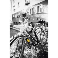 Kryptonite New York Fahgettaboudit 1410 Antivol à Chaîne -Accessoires Velo Pro 93704F518B03E92069EBB80834F910F2