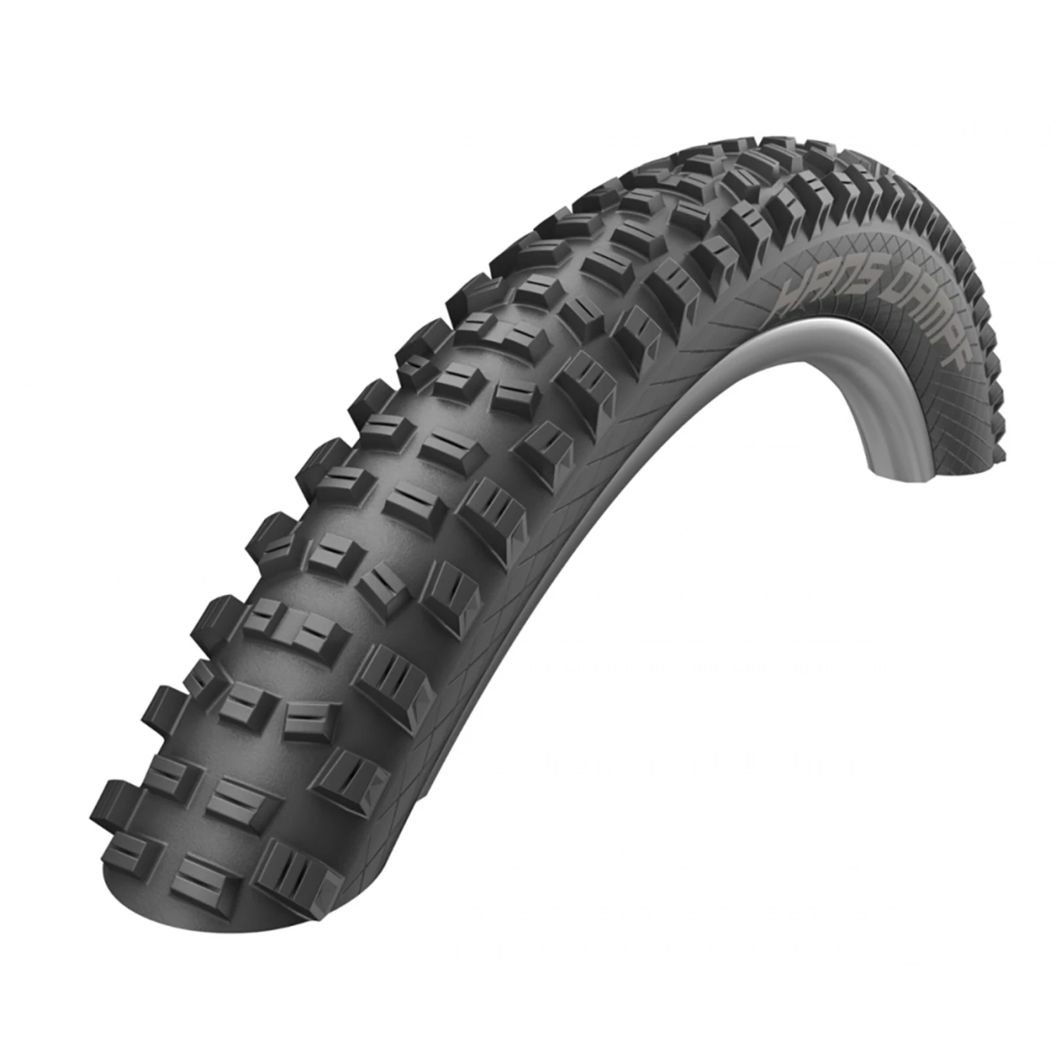Schwalbe Hans Dampf Performance ADDIX Pneu Vtt 3 Schwalbe Hans Dampf Performance ADDIX Pneu Vtt